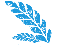 Application Image